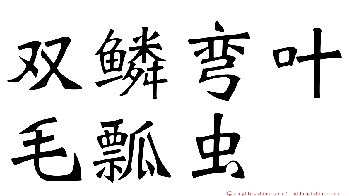 双鳞弯叶毛瓢虫