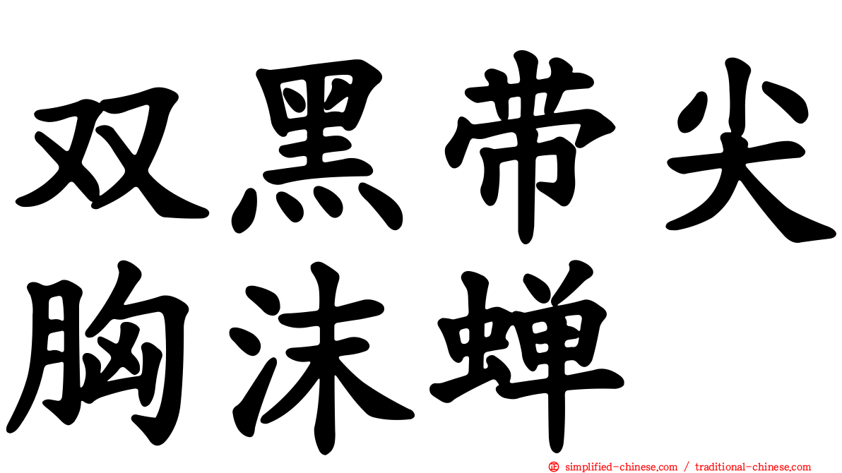 双黑带尖胸沫蝉