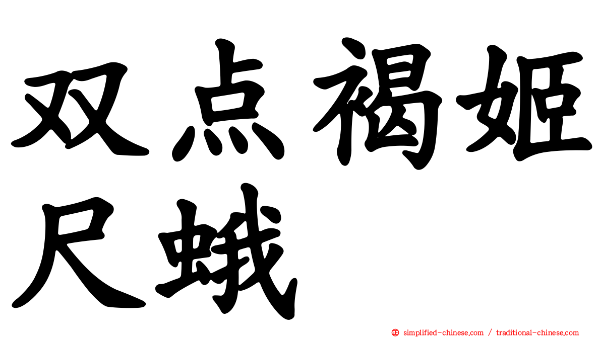 双点褐姬尺蛾