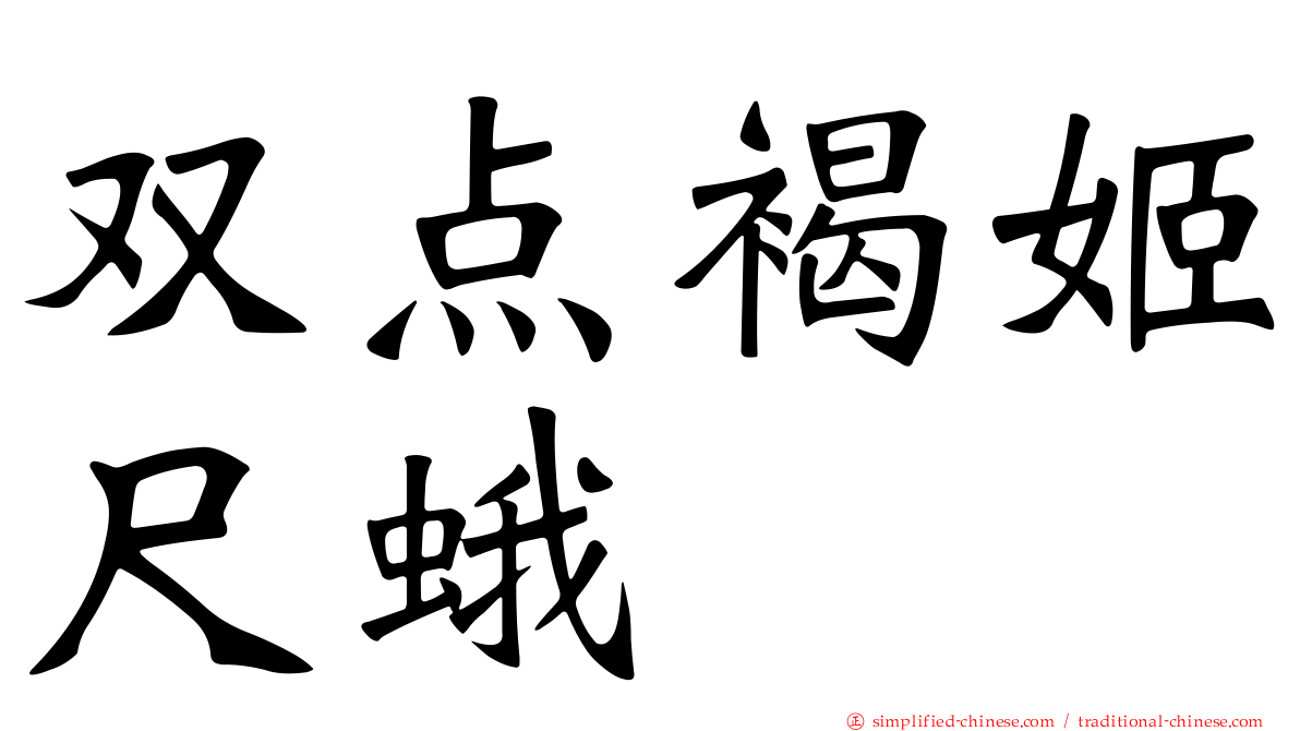 双点褐姬尺蛾