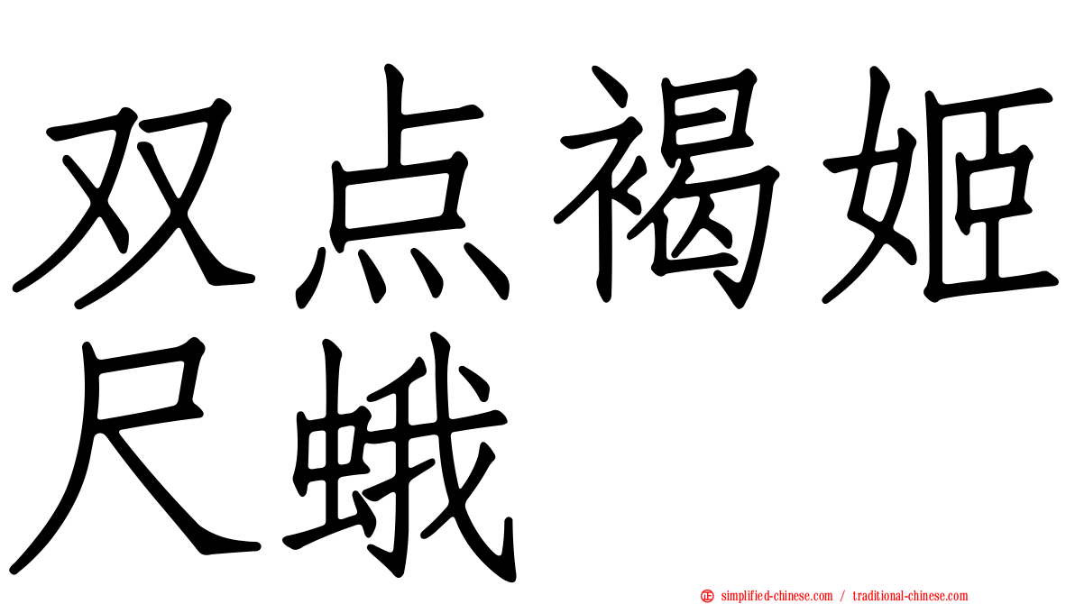 双点褐姬尺蛾