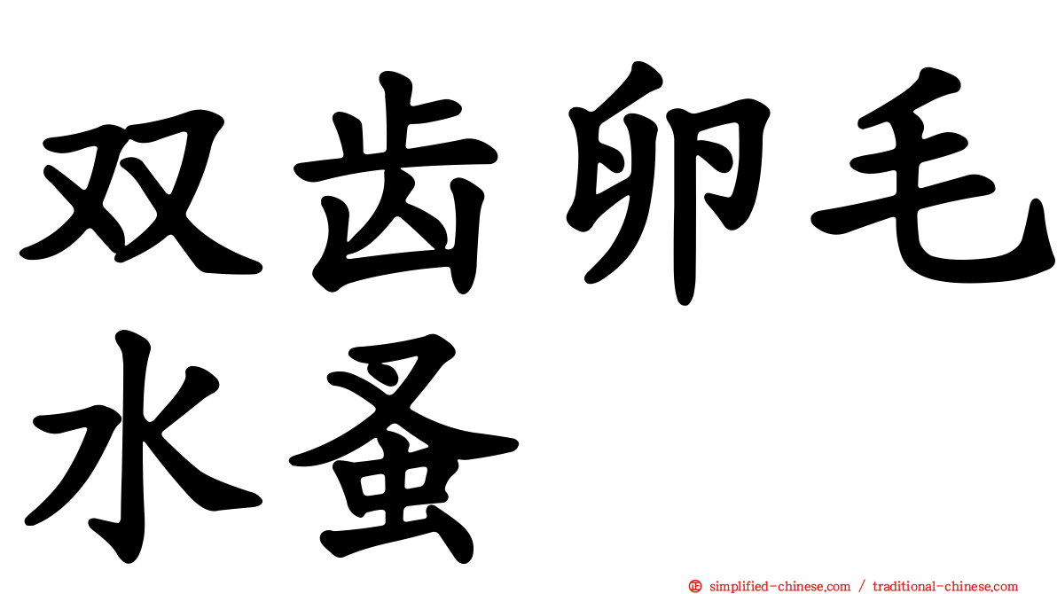 双齿卵毛水蚤