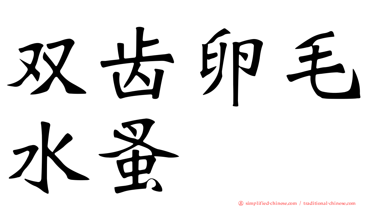 双齿卵毛水蚤