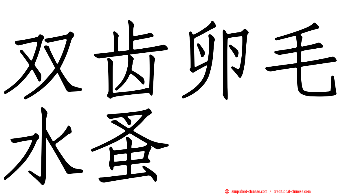 双齿卵毛水蚤
