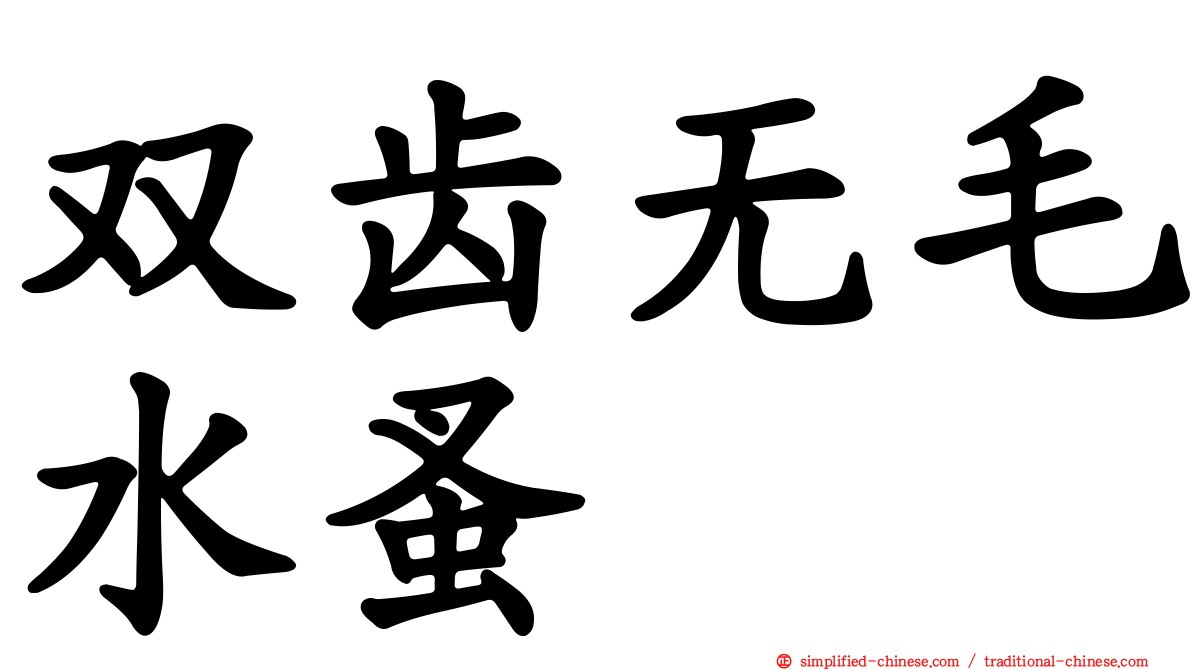 双齿无毛水蚤