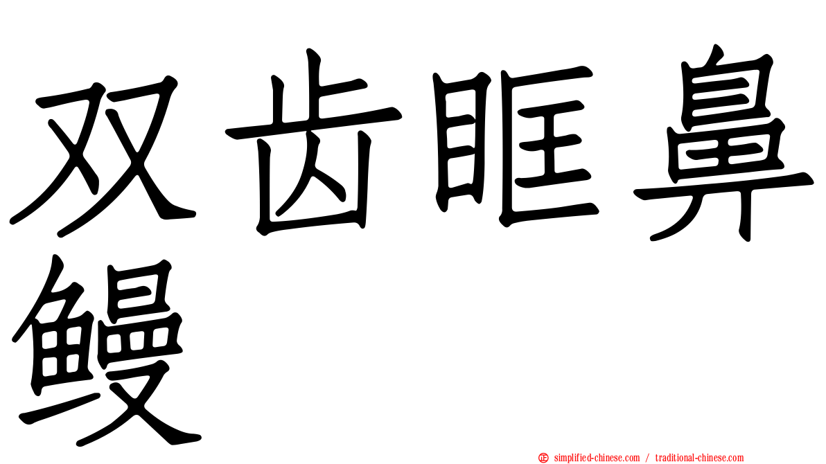 双齿眶鼻鳗