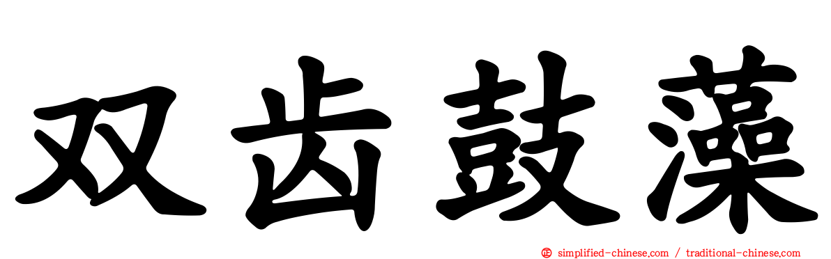 双齿鼓藻
