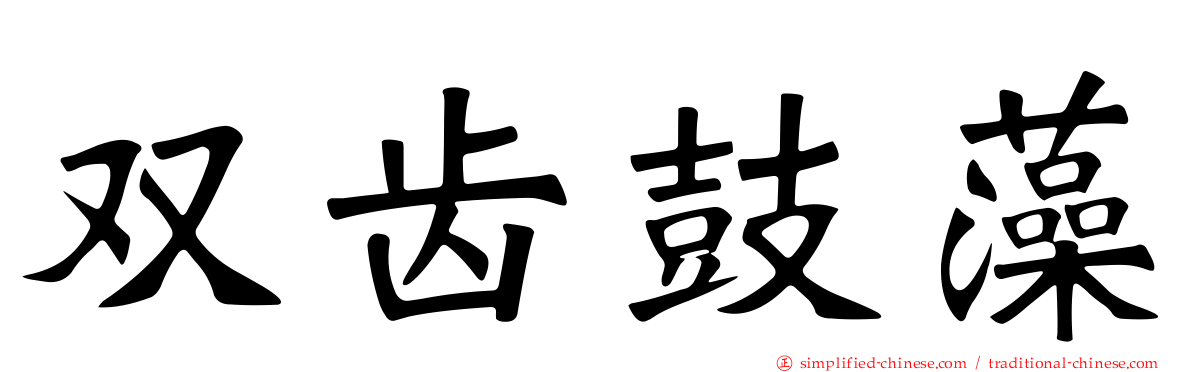 双齿鼓藻