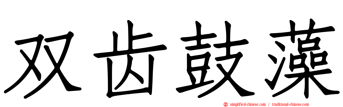 双齿鼓藻