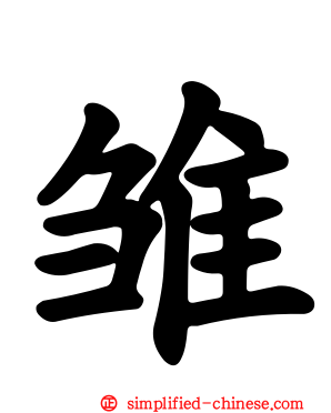 雏