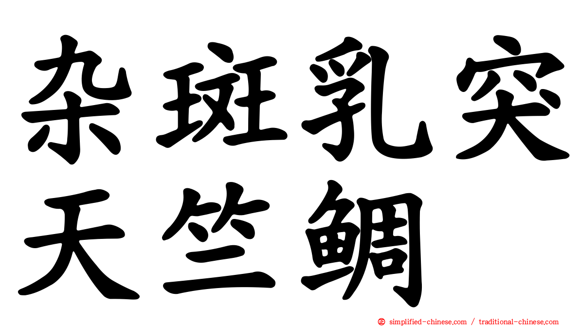 杂斑乳突天竺鲷