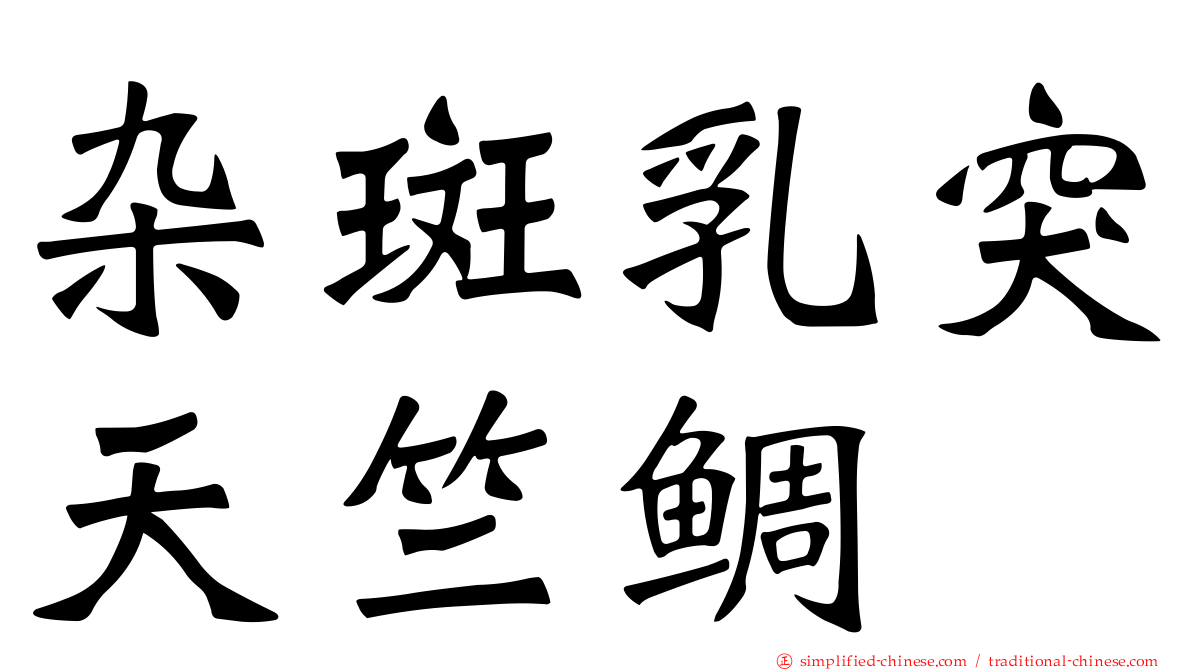杂斑乳突天竺鲷