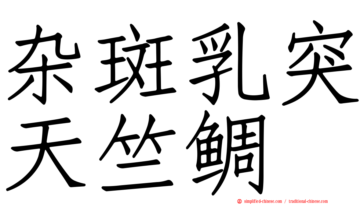 杂斑乳突天竺鲷