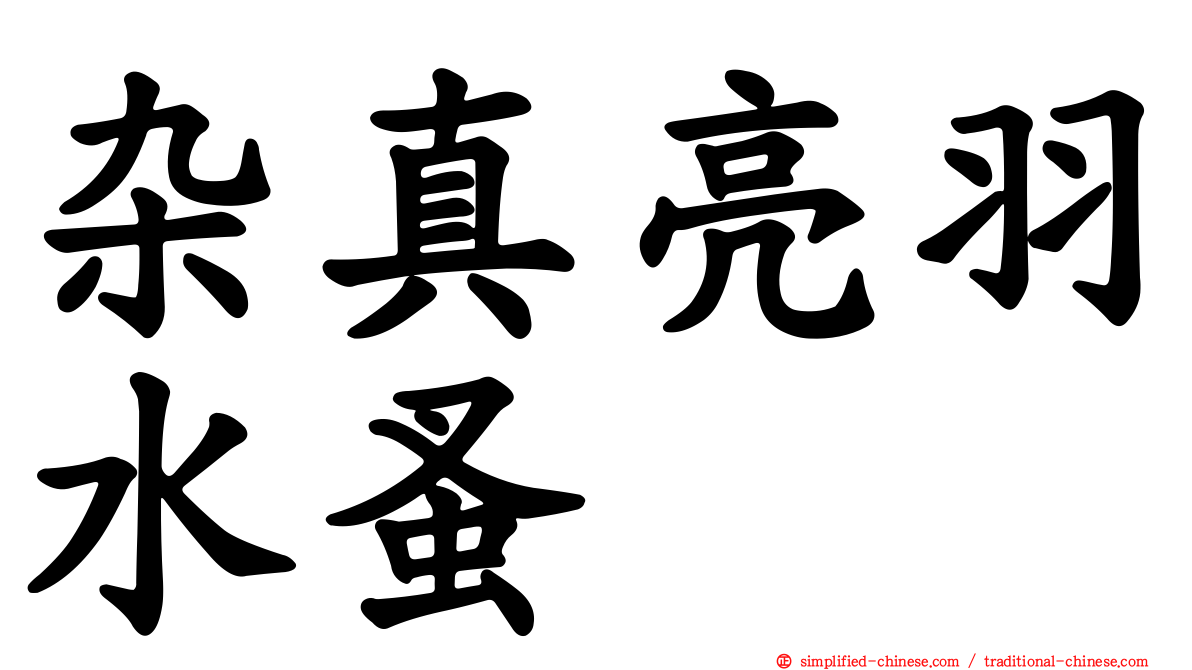 杂真亮羽水蚤
