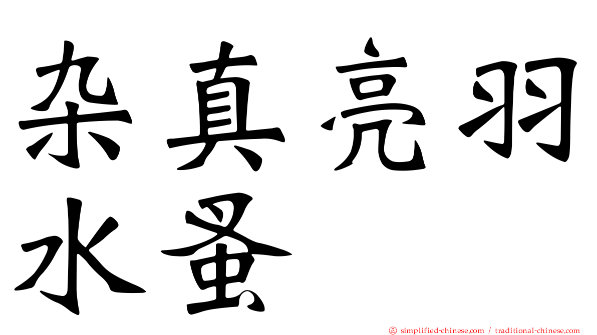 杂真亮羽水蚤