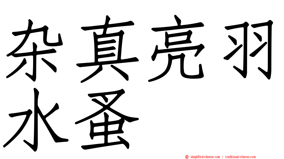 杂真亮羽水蚤