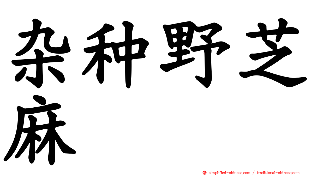 杂种野芝麻