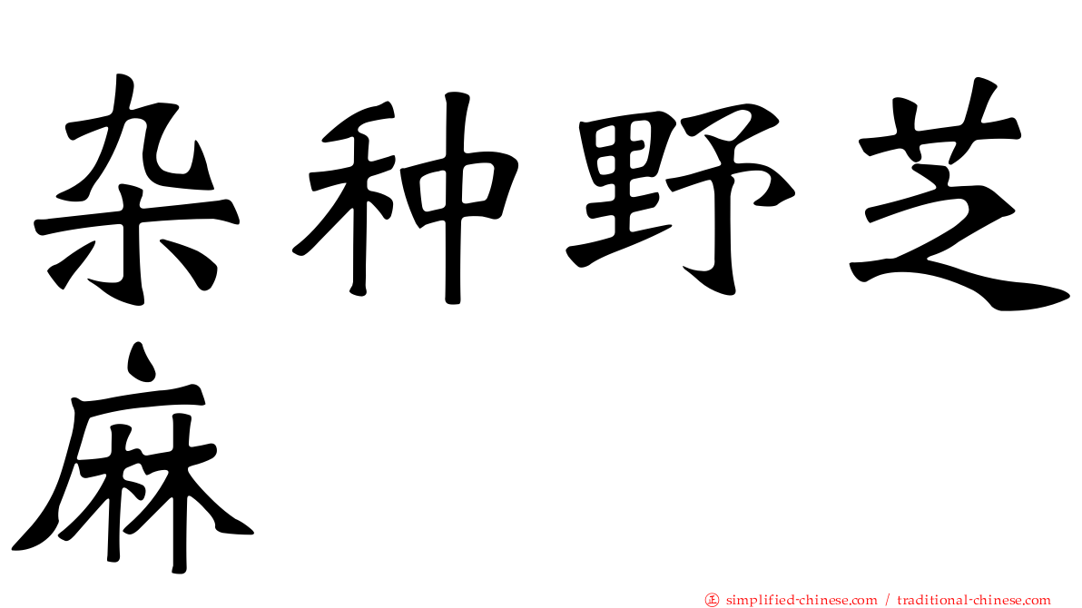 杂种野芝麻