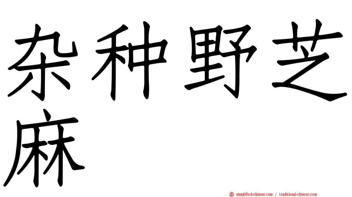 杂种野芝麻