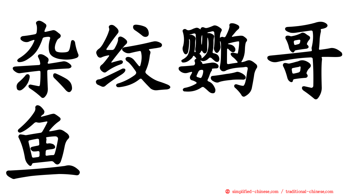 杂纹鹦哥鱼