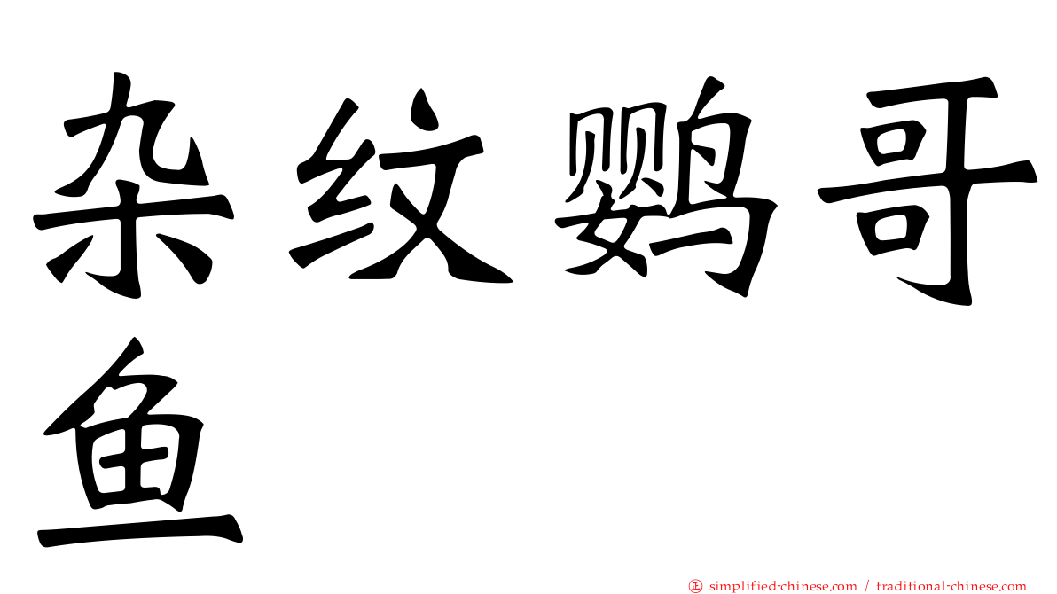 杂纹鹦哥鱼
