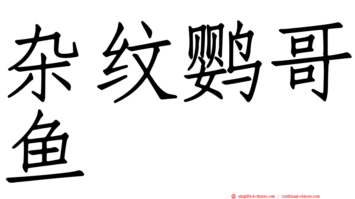 杂纹鹦哥鱼