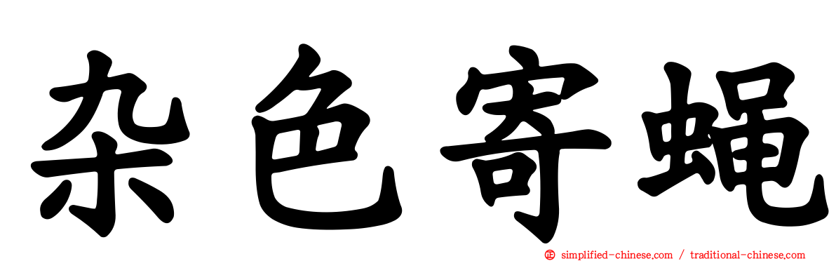 杂色寄蝇