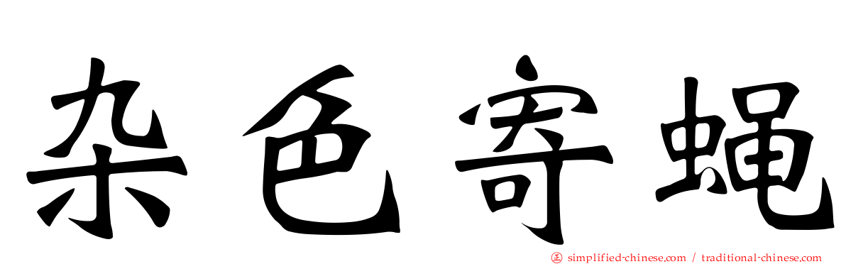 杂色寄蝇
