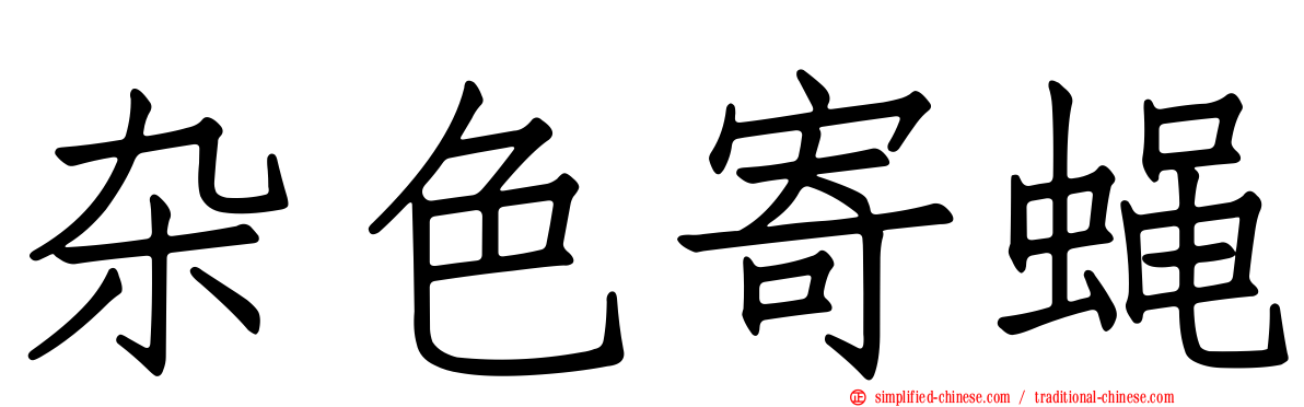 杂色寄蝇