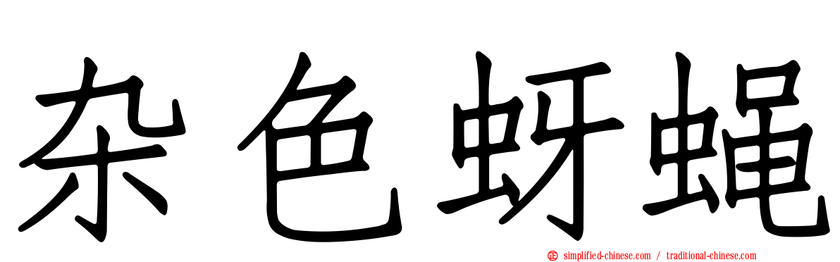 杂色蚜蝇