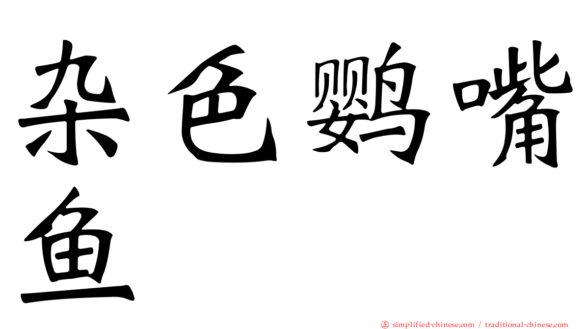 杂色鹦嘴鱼