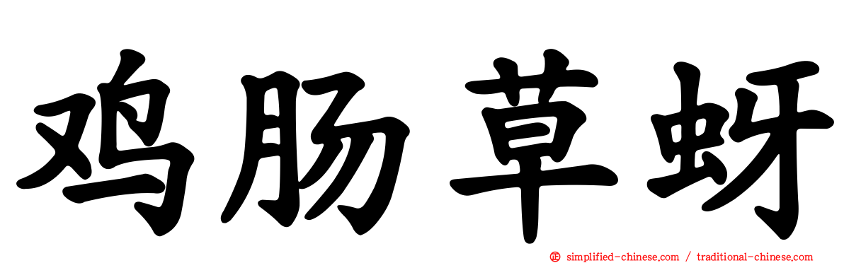 鸡肠草蚜