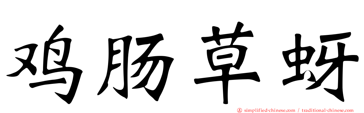鸡肠草蚜