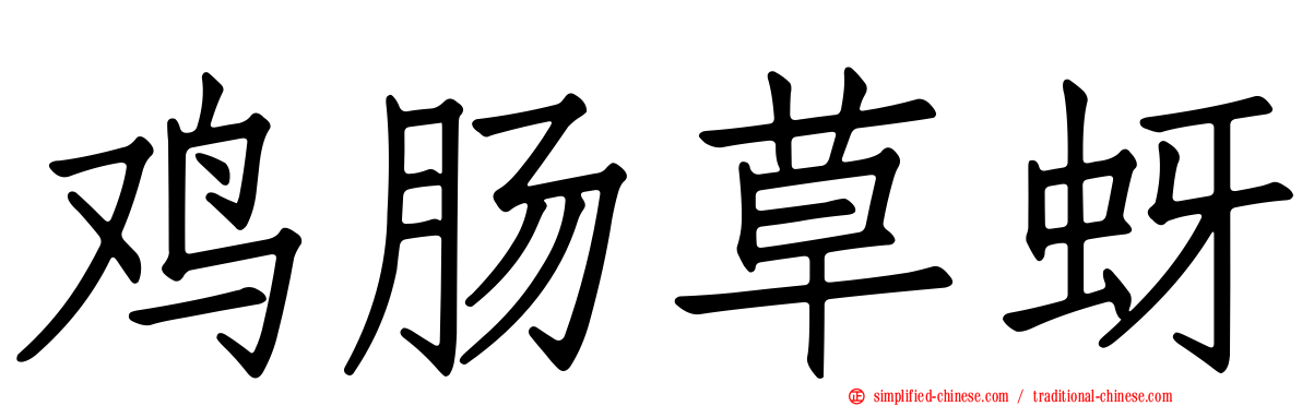 鸡肠草蚜