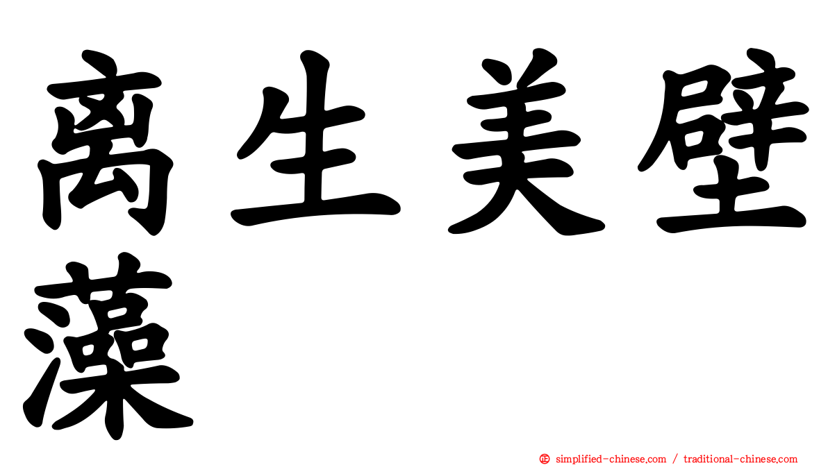离生美壁藻