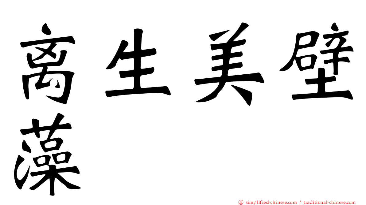 离生美壁藻