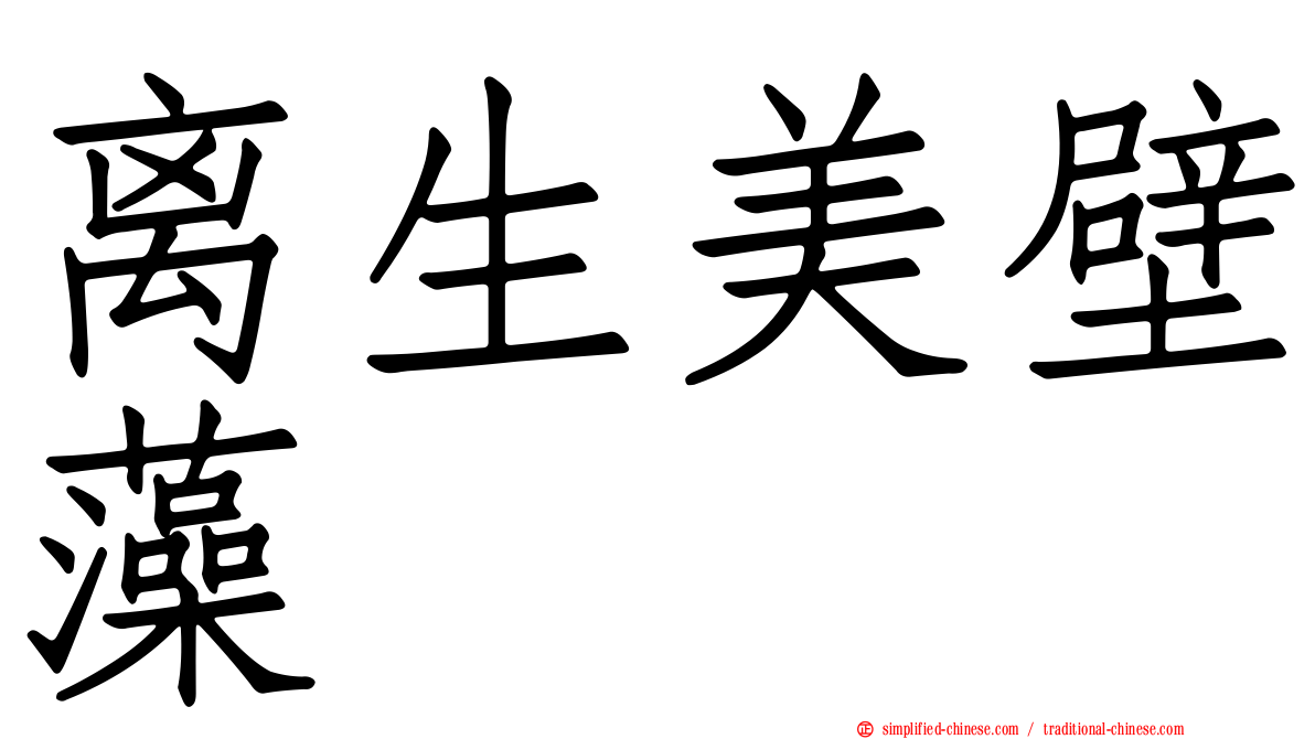离生美壁藻