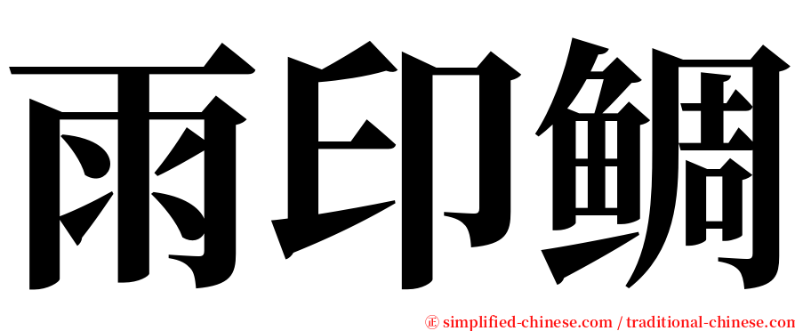雨印鲷 serif font