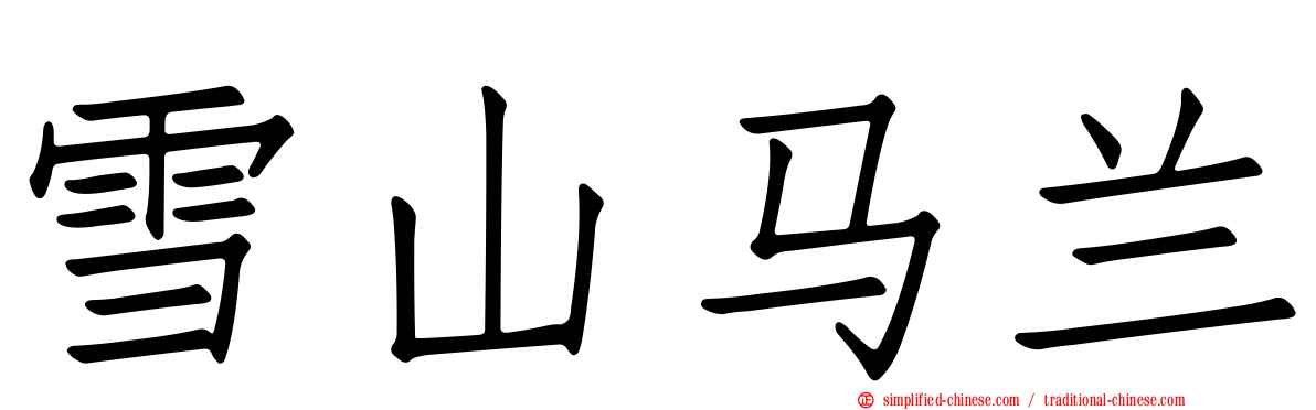 雪山马兰