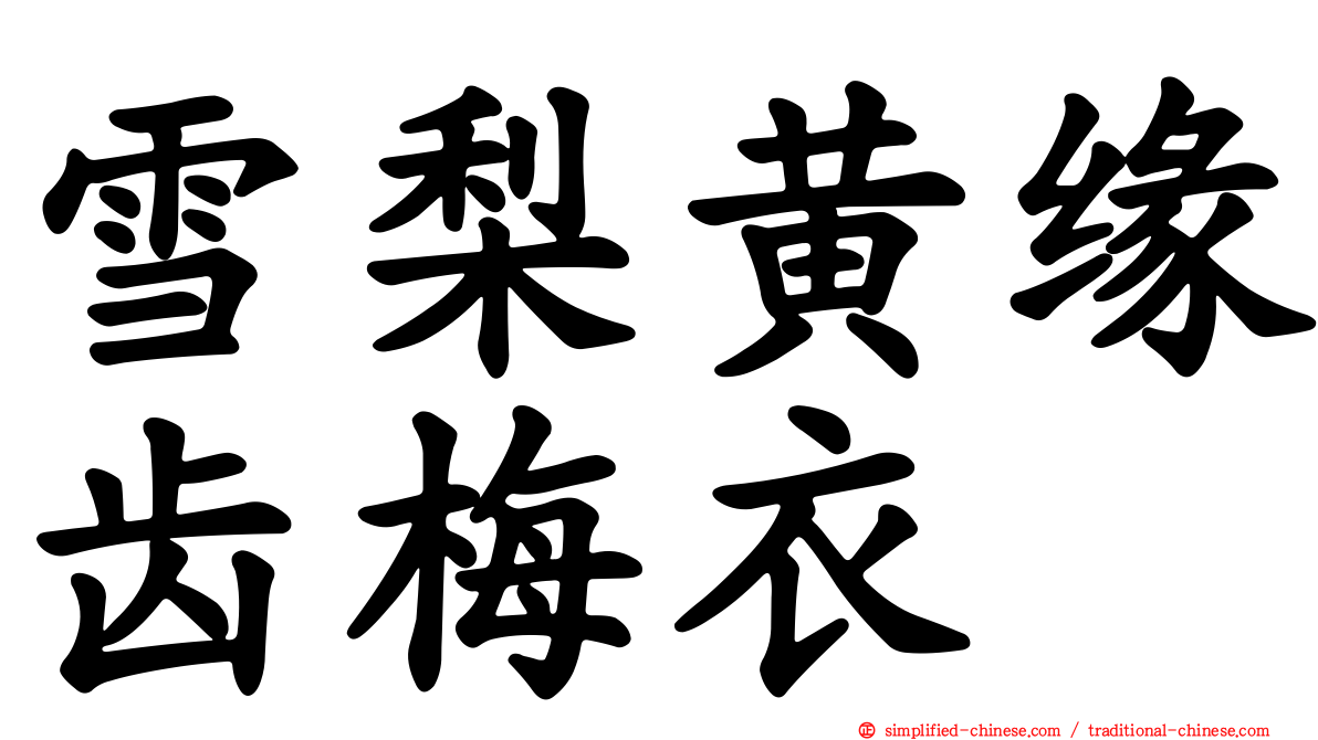 雪梨黄缘齿梅衣