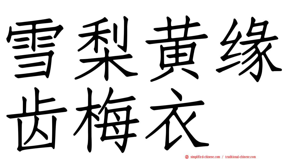 雪梨黄缘齿梅衣
