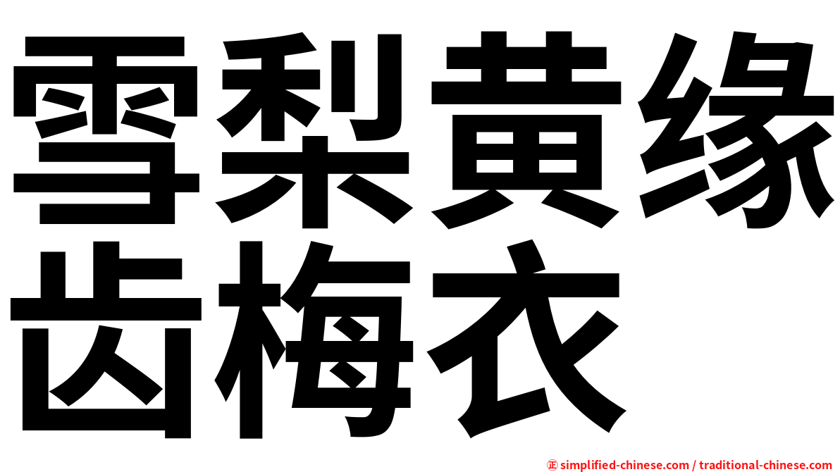 雪梨黄缘齿梅衣
