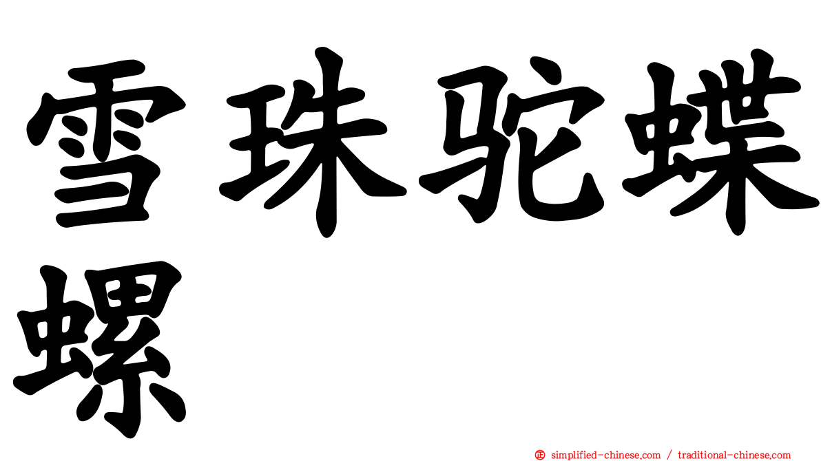 雪珠驼蝶螺