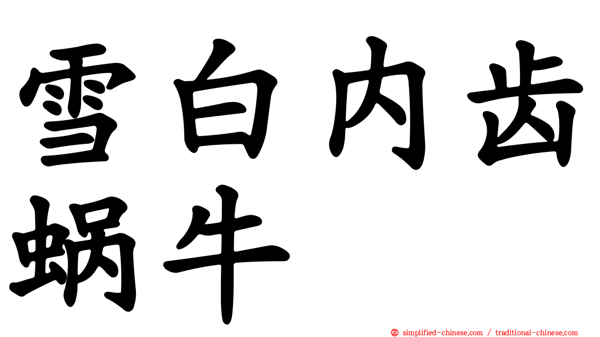 雪白内齿蜗牛