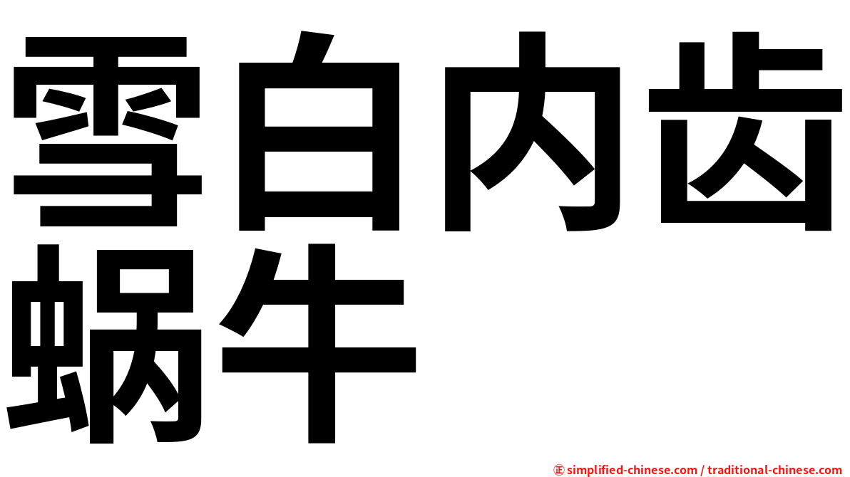 雪白内齿蜗牛