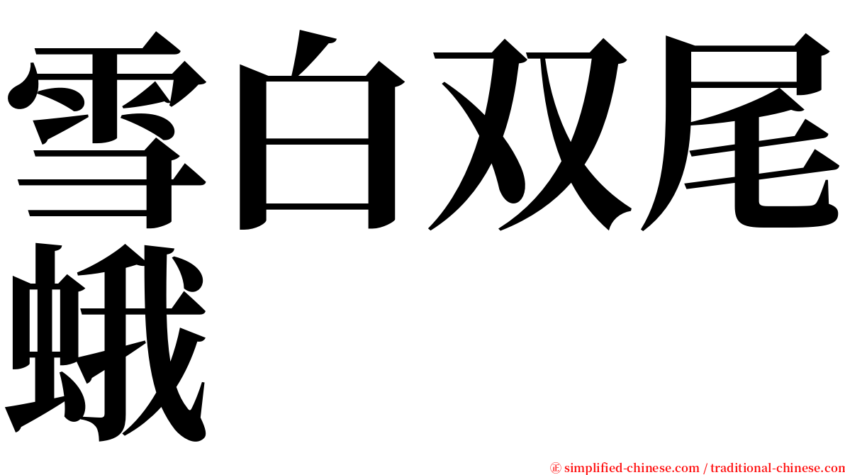 雪白双尾蛾 serif font