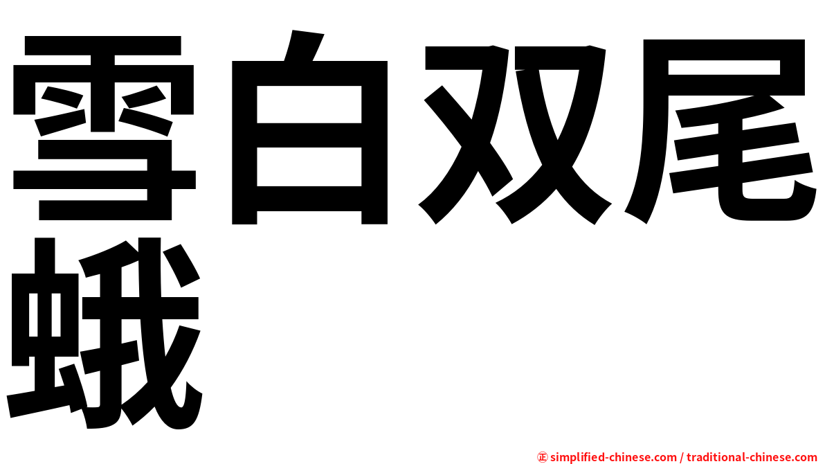 雪白双尾蛾