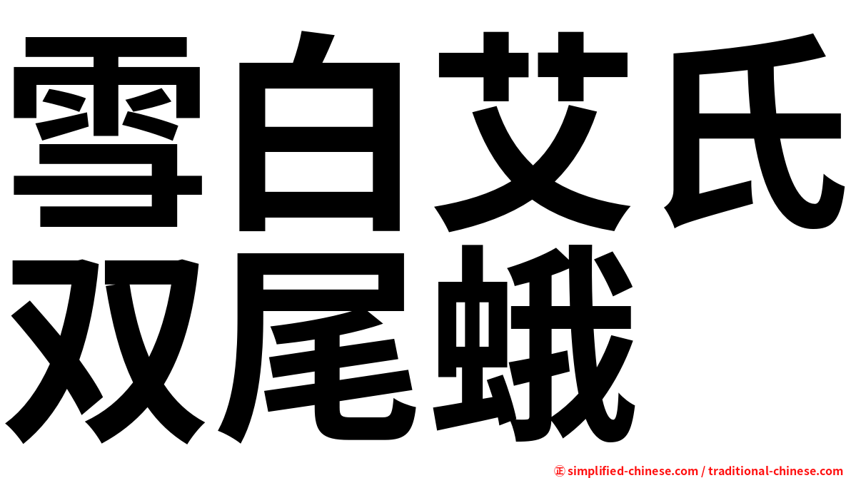 雪白艾氏双尾蛾