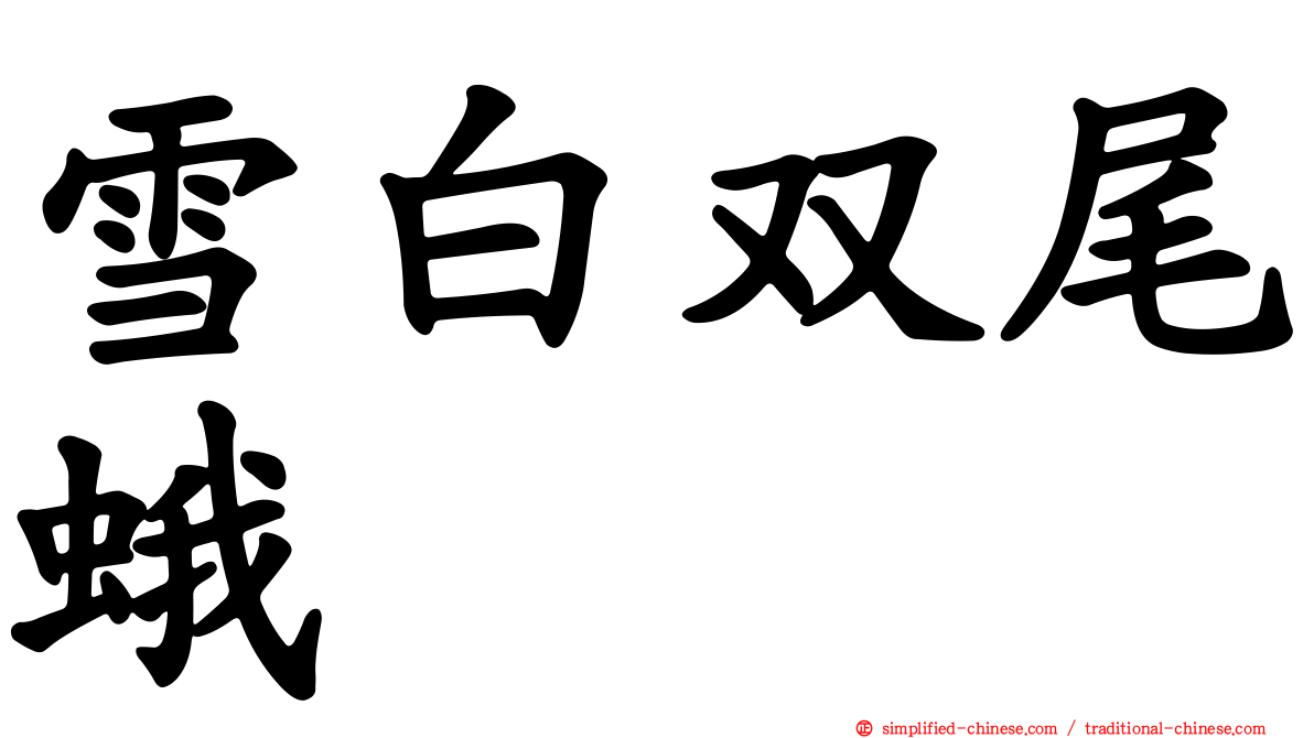 雪白双尾蛾