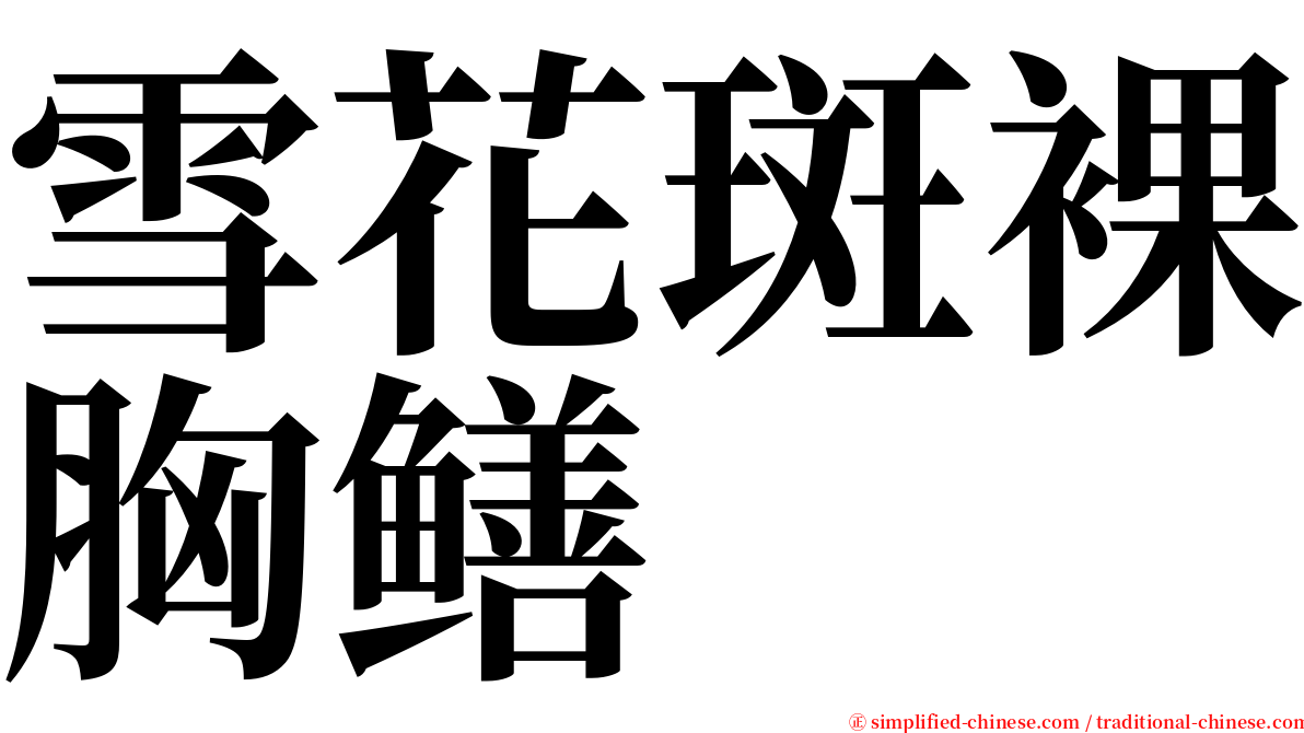 雪花斑裸胸鳝 serif font